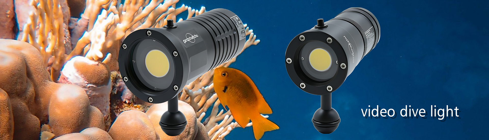 Video diving light