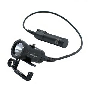 DL-D10-6B Canister Diving Light    